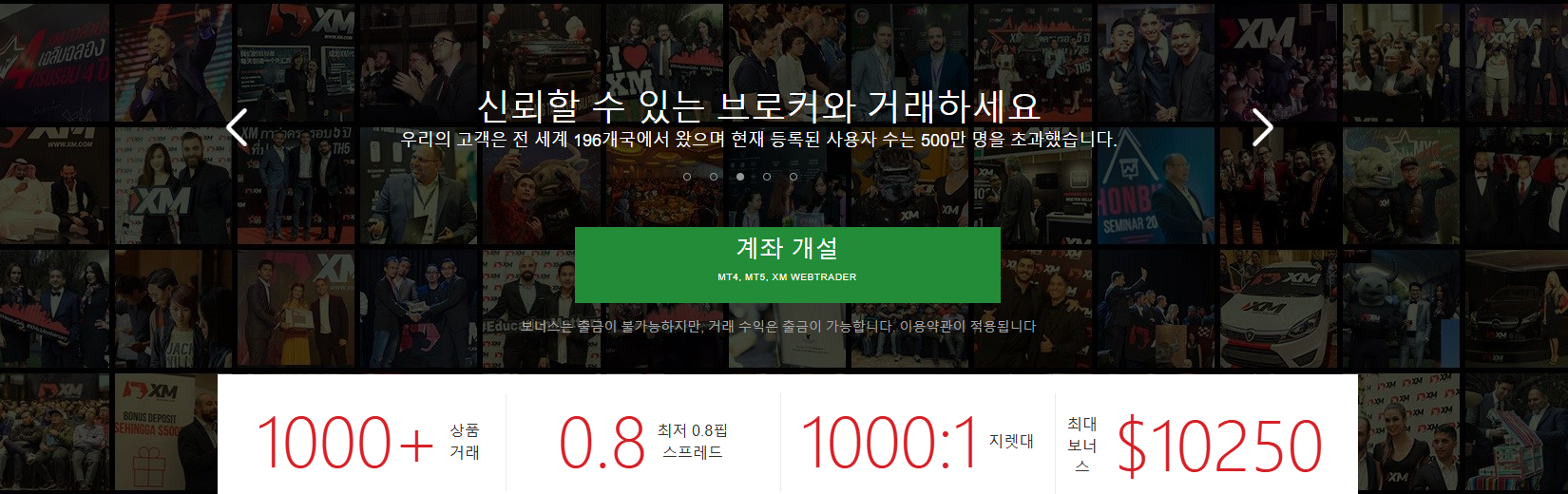 XM 외환 플랫폼
